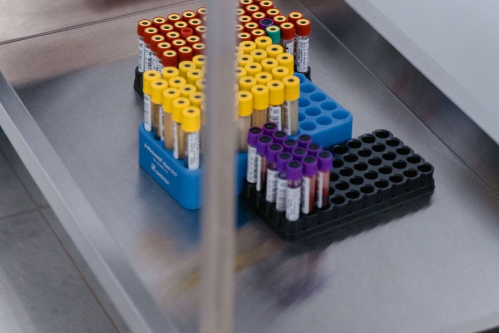 Laboratory specimen tubes prepared for transport